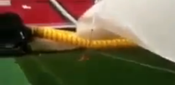 ���� ���� ������ ������� ����� ��� ����